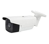 LevelOne fcs-5093 IP Security Camera intérieur et extérieur Balle Blanc - Caméra de surveillance (IP Security Camera, intérieur et extérieur, balle, blanc, plafond/mural, IP67) G
