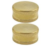 Levemolo 2 Pièces Bouchon D’extrémité de Tuyau D’arrosage 3/4, Embout Femelle en Laiton, Raccord Femelle, pour Robinet Extérieur et Répartiteur de Tuyau, Usage Extérieur, Anti-fuite