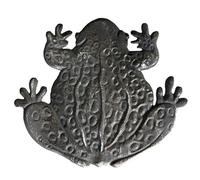 Pas Japonais - Motif Grenouille
