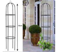 Liane Aide Obelisk Escalade, Plantes Grille Treillis Roses Fleurs Colonne Tour