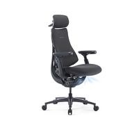 LiberNovo Pro Airflow Chaise de Bureau Ergonomique Dynamique | Ventilation Active, 2 vitesses de ventilation, 5 Inclinaison, étirement de la colonne vertébrale intégré, Graphite 48cm