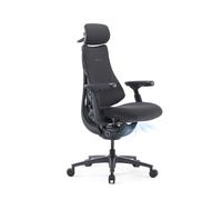 LiberNovo Pro Airflow Chaise de Bureau Ergonomique Dynamique | Ventilation Active, 2 vitesses de ventilation, 5 Inclinaison, étirement de la colonne vertébrale intégré, Graphite 45cm