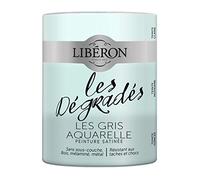 Libéron Peinture décorative, Les dégradés, Les Gris Aquarelle, 600 ML