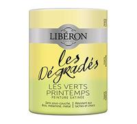 Libéron Peinture décorative, Les dégradés, Les Vert Printemps, 600 ML