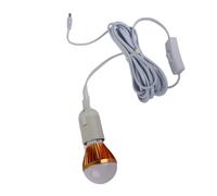 LICAEVEY E27 Boule Ampoule Solaire LED 12V 5W avec Câble CC de 3 Mètres | Lumière blanche chaude et non éblouissante, douille à vis universelle E27 amovible, interrupteur à clé manuel 304.