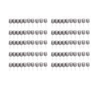 LiebeWH Ensemble de 100 Paniers à Engrais en Acier Inoxydable, Utilisation Simple, Conception de Pointe Innovante, Distribution Efficace de Nutriments, fonctionnalité Polyvalente avec Matériau
