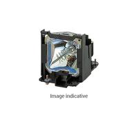 Liesegang Osram Halogenlampe 36V/400 W 50h Lampe d’origine pour Favorit 400