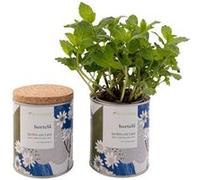 Life in a Bag - jardin en boite floral menthe G