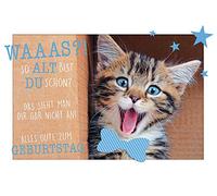 Lifestyle Happy Birthday Carte d'anniversaire Motif chat 11,6 x 16,6 cm