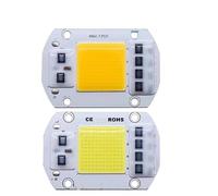 LIGHBIB LED PUB COB Lampe Pearl 20W 30W 50W LED 220V 110V IC SMART PAS DE DIY BIBILIT,Blanc Froid 110V 50W,2pcs