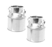 LIGHTAOTAO Seau Décoratif Vintage en Fer Galvanisé Argenté 2pcs pour Plantes D'intérieur et Fleurs Séchées, Petit Pot à Fleurs Créatif pour Décoration Intérieure et Rangement