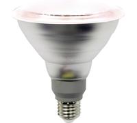 LightMe Ampoule LED pour plantes LM85322-2 132 mm 230 V, 220 V, 240 V E27 15 W réflecteur 1 pc(s)