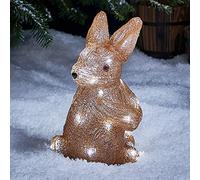 Lights4fun Déco Lumineuse Lapin de Noël en Acrylique à 20 LED Blanches à Piles pour Extérieur