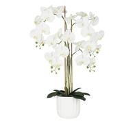 Ligne Déco - Orchidée Artificielle 100cm | Pot Plastique Blanc Intérieur Imitation Terre