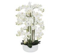Orchidées artificielles 80cm