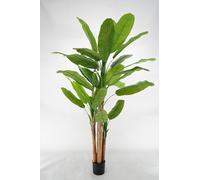 LIGUORO SHOP Plante Artificielle de Banane avec Écorce Naturelle, Feuilles en PVC, Diverses Tailles, pour Intérieurs Résidentiels et Commerciaux (Chiquita 220 cm Luxe - 3 troncs)