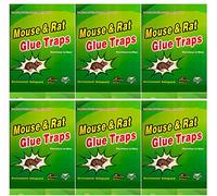 lihai Rat Glue Traps/Rat Glue Boards/Sticky Boards Pest Expert 6 Pack,Mice Mouse Rodent Glue Trap Board Super Sticky Rat,Rat Glue Traps Rat Glue Boards Sticky Boards,Mouse Catcher Sticky Boards