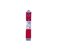 Dehn + Söhne Parafoudre DEHNrail DR M 2P 255 FM 953205 230V 5000 A Rouge
