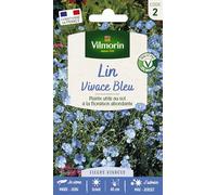 Lin Bleu