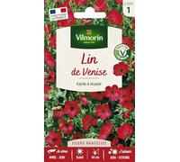 Lin de Venise