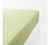 Linandelle - Drap Housse Coton 120 Fils Jersey Extensible Douceur - Vert - 90x190