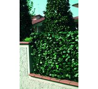 Linea Garden Friend S1098006 Clôture en PVC avec Feuilles Lauro et Filet d'ombrage 1,5 x 3, Vert
