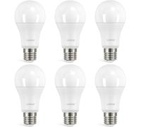 Linkind Ampoule LED E27 Blanc Froid, 13W Équivalent 100W, 5000k Lumière Froide 1521lm, Ampoule Edison A60 Gros Culot à Vis, No Dimmable, 220v-240v, Lot de 6