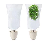 LINSOCLE Lot de 2 Housse Hivernage pour Plantes, Voile Hivernage Plante Exterieur, Voile D'hivernage, Bache Hivernage Protection Plante Hiver pour Olivier Palmier Citronnier Arbre 120cm X 80cm