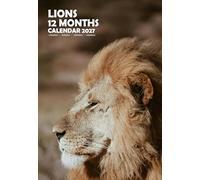 Lions Calendrier mural 2027, format A3, à spirales, en couleur (MPRA)