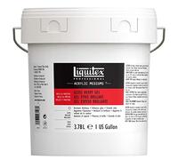 Liquitex 5123 Médium Gel Épais Brillant pour Peinture Acrylique - Seau 3,78L