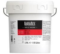 Liquitex Professional - Gel de texture - gel - pour peinture acryllique - translucide - mat - 3.78 L