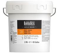 Liquitex Professional - Vernis - mat - 3.78 L