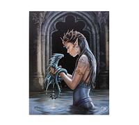 Lisa Parker Anne Stokes WP_75422 Plaque Multicolore 20 x 26 cm