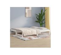 vidaXL Lit Coulissant Lit de Jour Canapé-lit Cadre de Lit d'Invité Lit d'Appoint Canapé de Salon Chambre Blanc 2x(80x200) cm Bois de Pin Massif Blanc G