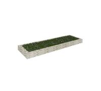 vidaXL Lit surélevé à gabion Acier galvanisé 300x100x20 cm Argenté G