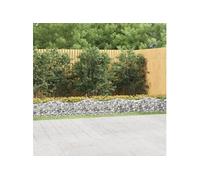 vidaXL Lit Surélevé à Gabions Arqué, Panier de Gabions Pour Plantes, Jardinière de Jardin Patio Terrasse, 600x100x50 cm Fer 153552 Or G