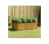 Lit surélevé de jardin 120x80x40 cm acier corten