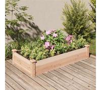 vidaXL Lit surélevé avec insert 120x60x25 cm bois massif sapin
