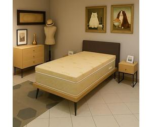 Literie Julien Surmatelas Anatomique Hyper Moelleux et Confort 90x190 x 6 cm Déhoussable Entretien Facile - Anallergique - à l'Aloe Vera