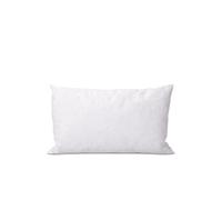 BELLECOUR LITERIE - Oreiller 40x60 cm CHAMBORD - Duvet & Plumes Blanc G