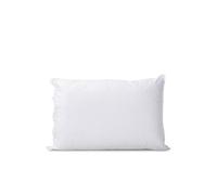 BELLECOUR LITERIE - Oreiller 45x70 cm GRAND PALACE - Fibres creuses polyester Blanc G