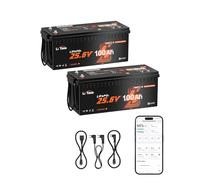 LiTime 2 Pcs Batterie Lithium 24V 100Ah avec CAN/RS485 pour Panneau Solaire | LiFePO4, Bluetooth, 100A BMS, Max. 15000 Cycles, Énergie 2560Wh, Protection Anti-froid, Max 4P4S, pour Bateaux, Yacht, Pêche