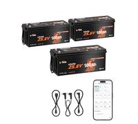LiTime 3 Pcs Batterie Lithium 24V 100Ah avec CAN/RS485 pour Panneau Solaire | LiFePO4, Bluetooth, 100A BMS, Max. 15000 Cycles, Énergie 2560Wh, Protection Anti-froid, Max 4P4S, pour Bateaux, Yacht, Pêche