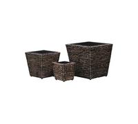 vidaXL Bac à fleurs 3 pcs. Jacinthe d'eau Marron