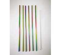 Little Balance Paille en inox irisée réutilisable - Lot de 6