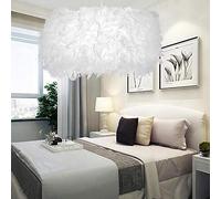 LIUNIAN 30CM Plafonnier Lustre Abat-Jour Moderne Minimaliste De Mode Plume Plafonnier pour Salon Chambre Porche Bar Restaurant Hôtel