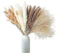 LIUYIDM 100 Pièces Bouquet Fleurs Sechees Naturelles Pampas Sechees Decoration Herbe de la Pampa XXL Fleur Sechees Decoration pour Décoration de Salon Chambre Table à Manger Ambiance Bohème