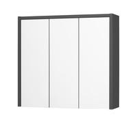 LIVARNO HOME Armoire de toilette OSLO, 65 x 60 x 17 cm, noir
