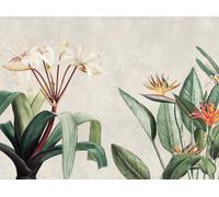 Livingwalls 399171 Papier peint photo intissé de qualité supérieure Motif jungle crème, gris, vert 3,71 x 2,80 m Fabriqué en Allemagne