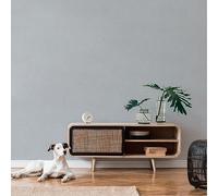 Livingwalls Famous Garden 393514 Papier peint intissé uni Gris clair 10,05 m x 0,53 m